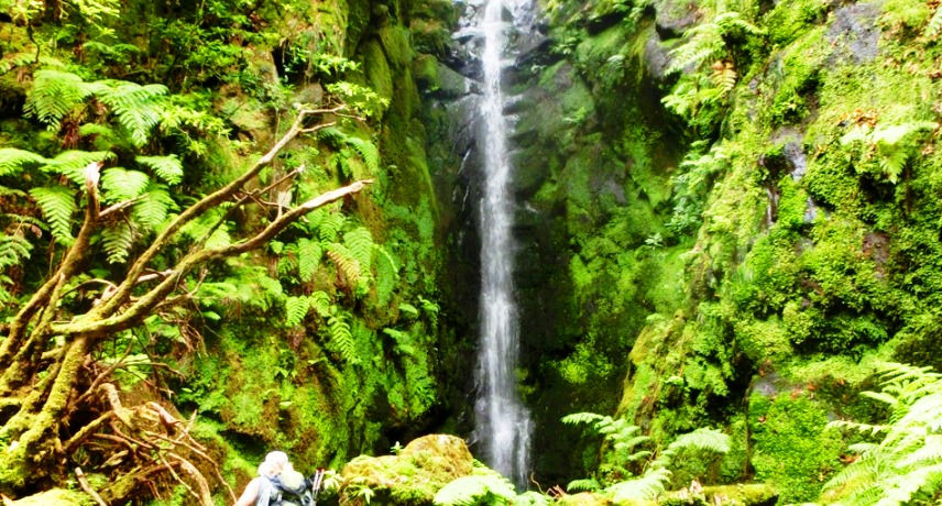 11 Top Best Swimming Holes in Madeira Island- Rabo de burro